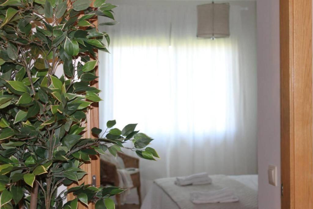 Apartamento Riomar Ribadumia ภายนอก รูปภาพ